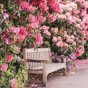 Hello Friends, welcome to Parkstone Lane